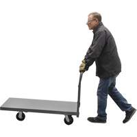 Platform Truck, 48" L x 24" W, 2000 lbs. Capacity, Rubber Casters MP196 | Stor-it Systems