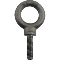 Alloy Steel Eye Bolt, 1" Dia., 1-1/4" L, 1480 lbs. (0.74 tons)/1480 lbs. Capacity Stor-it Systems