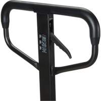 Quick-Lift Manual Pallet Truck, Steel, 48" L x 20.5" W, 5500 lbs. Capacity Stor-it Systems