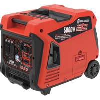 Dual Fuel Gasoline/Propane Inverter Generator, 5000 W Surge, 3700 W/3330 W Rated, 12 V, 12 L Tank NAA174 | Stor-it Systems