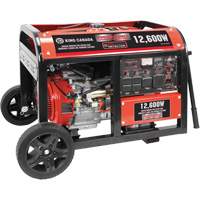 G&eacute;n&eacute;ratrice &agrave; essence &agrave; d&eacute;marreur &eacute;lectrique, 12600 W de surtension, 9000 W nominale, 120 V/240 V, R&eacute;servoir de 31 L Stor-it Systems
