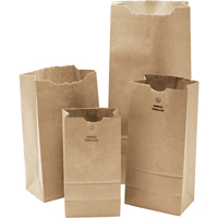 #3 Kraft Bag, Paper, 4-3/4" W x 8-1/2" L PG697 | Stor-it Systems