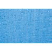 Tarp, Standard Duty, Blue, 7' x 5' x 4 mils Stor-it Systems