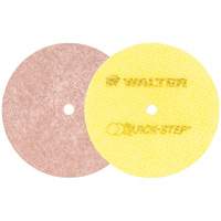 Quick-Step Instant Polish Discs, 5" Dia. Stor-it Systems