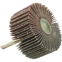 Disque &agrave; lamelles mont&eacute;, Grain 60, 2" x 1" x 1/4" Stor-it Systems