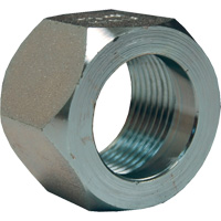 Dixon<sup>®</sup> Mining Hex Nut, 1", Zinc Plated, NPT Thread NJE824 | Stor-it Systems