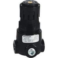 Wilkerson Miniature Regulator R03, 1/8" NPT, 300 psi Max. PSI, Standard Stor-it Systems