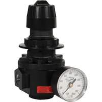 Wilkerson Regulator R26, 1/2" NPT, 300 psi Max. PSI, Standard Stor-it Systems