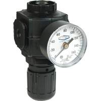 Series 1 Compact Regulator, 1/2" NPT, 150 PSI Max. PSI, Standard Stor-it Systems