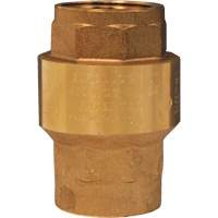 Horizontal Swing Check Valve Stor-it Systems