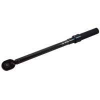 Torque Wrench, 3/8" Square Drive, 17" L, 20 - 100 ft-lbs. NJI114 | Stor-it Systems