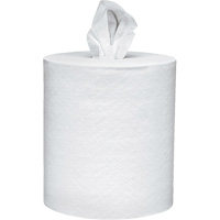 Scott<sup>®</sup> Essential Paper Towels, 2 Ply, Centre Pull, 625' L NJI990 | Stor-it Systems