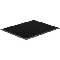 Tapis Gritstop Fingermat, Caoutchouc, Grattoir Type, Motif Textur&eacute;, 2' x 2-2/3', Noir Stor-it Systems