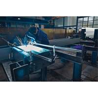 Serre-joint enti&egrave;rement en acier &agrave; double force variable Stor-it Systems