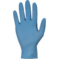 KeepKleen&reg; RDNPF Disposable Gloves, Large, Nitrile, 4-mil, Powder-Free, Blue, Class 2 Stor-it Systems