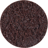 Disques de traitement des surfaces Standard Abrasives, 2" dia., Grain Cors&eacute; Stor-it Systems