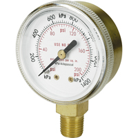 Brass Gauge, 2-1/2" , 4000 PSI, Bottom Mount, Analogue NT625 | Stor-it Systems