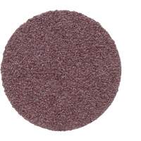 Disque PSA en toile 348D, 20" dia., Grain 50, Oxyde d'aluminium Stor-it Systems