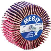 Threaded Mini Flap Wheel, Ceramic Alumina, 40 Grit, 2" x 1" x 1/4"-20 Stor-it Systems