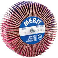 Threaded Mini Flap Wheel, Ceramic Alumina, 40 Grit, 3" x 1" x 1/4"-20 Stor-it Systems