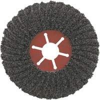 Disque semi-flexible Powerflex, 5" dia., Grain C24, Carbure de silicium Stor-it Systems