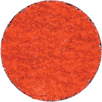 Blaze R980P Quick-Change Cloth Disc, 2" Dia., 36 Grit, Ceramic Alumina Stor-it Systems