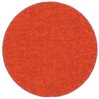 Blaze R980P Quick-Change Cloth Disc, 2" Dia., 60 Grit, Ceramic Alumina Stor-it Systems