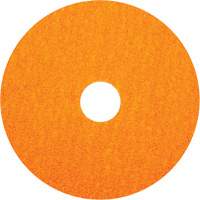 BlazeX F980 Fiber Disc, Ceramic Alumina, 36, 5" Dia x 7/8" Arbor Stor-it Systems