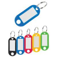 Porte-clés en plastique OP568 | Stor-it Systems