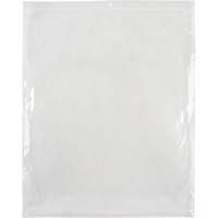 Poly Bags, Reclosable, 15" x 12", 2 mils PF961 | Stor-it Systems