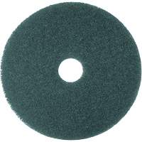 5300 Series Pad, 16", Cleaning, Blue PG207 | Stor-it Systems