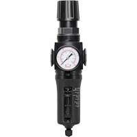 Manual Drain Filter/Regulator with Metal Bowl Modulair 300, 1/4" NPT, 250 PSI, 5.1 fl. oz. Capacity Stor-it Systems