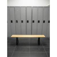 Locker Room Bench, Wood, 48" L x 9-1/4" W x 16-1/2" H RL871 | Stor-it Systems