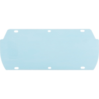 Facetec Polycarbonate Visor, Polycarbonate, Clear Tint Stor-it Systems
