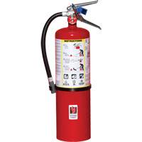 Fire Extinguisher, ABC, 10 lbs. Capacity SA443 | Stor-it Systems