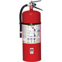 Fire Extinguisher, ABC, 20 lbs. Capacity SA444 | Stor-it Systems