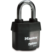 Cadenas Pro-Series Weather Tough, Noir, Cl&eacute;s diff&eacute;rentes, Acier lamin&eacute;, Largeur de 2-3/8" Stor-it Systems