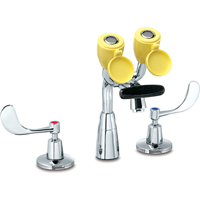 Faucet & Eyewash Station, Sink Mount Installation SAI288 | Stor-it Systems