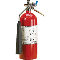 Extincteurs au dioxyde de carbone (CO2), cylindre en aluminium, BC, Capacit&eacute; 15 lb Stor-it Systems