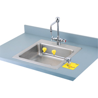 Swing-Away Eyewash Station, Counter-Mount Installation Stor-it Systems
