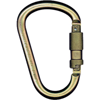 Carabiners, Steel, 5000 lbs Capacity SAM500 | Stor-it Systems