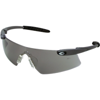 Lunettes de s&eacute;curit&eacute; Desperado, Lentille Grise/fum&eacute;e, Anti-&eacute;gratignures, ANSI Z87+/R&eacute;pond ou surpasse la norme CSA Z94.3 Stor-it Systems
