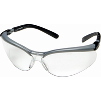 Lunettes de s&eacute;curit&eacute; Bx, Lentille Transparent, Antibu&eacute;e, R&eacute;pond ou surpasse la norme CSA Z94.3 Stor-it Systems