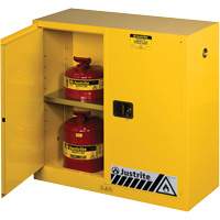 Sure-Grip&reg; Ex Flammable Storage Cabinets, 30 gal., 2 Door, 43" W x 44" H x 18" D Stor-it Systems
