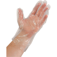 Disposable Gloves, Large, Polyethylene, 0.02-mil, Powder-Free, Clear SAI935 | Stor-it Systems