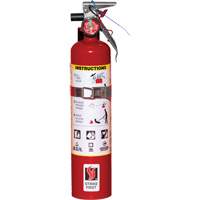 Fire Extinguisher, ABC, 2.5 lbs. Capacity SAQ814 | Stor-it Systems