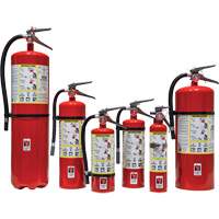 Extincteur d'incendie, ABC, Capacité 30 lb SED110 | Stor-it Systems