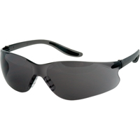 Z500 Series Safety Glasses, Grey/Smoke Lens, Anti-Scratch Coating, ANSI Z87+/CSA Z94.3 SAS362 | Stor-it Systems