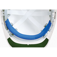 Replacement Brow Pad for ERB Hardhat SAX887 | Stor-it Systems