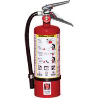 Fire Extinguisher, ABC, 5 lbs. Capacity SC946 | Stor-it Systems
